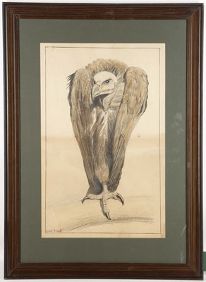 Lot 58 - Ernest Griset (French, 1844-1907). 'Vultur...