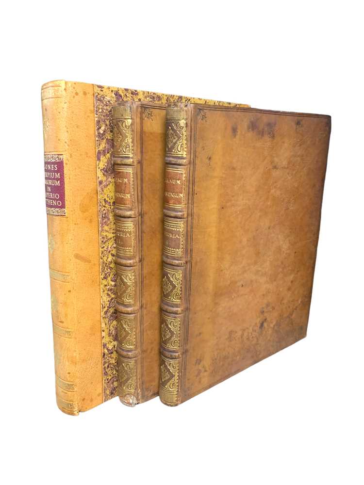 Lot 91 - Natural History: Amman (Johan)
