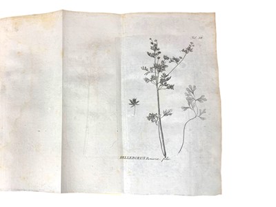 Lot 91 - Natural History: Amman (Johan)