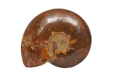 Lot 221 - A LARGE AMMONITE FOSSIL, CRETACEOUS PERIOD