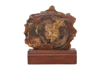 Lot 224 - A SECTION OF FOSSILISED ARAUCARIA (MONKEY PUZZLE) WOOD, TRIASSIC