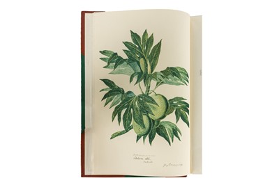 Lot 50 - Bligh Log of H.M.S. Providence 1791-1793. Genesis, 1976