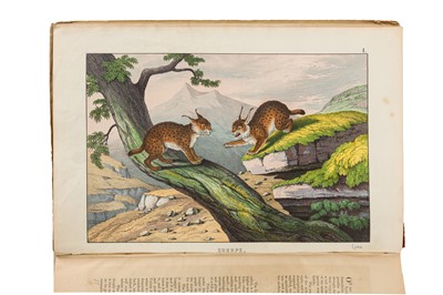 Lot 149 - M.H.H.I. The instructive picture book Edin. 1860