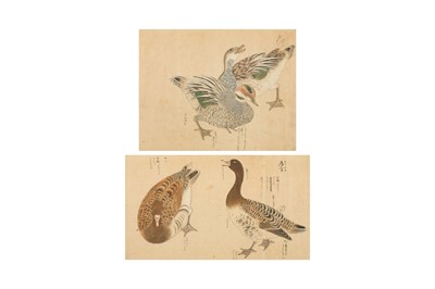 Lot 796 - TWO JAPANESE 'DUCK' PAINTINGS