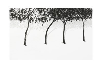 Lot 245 - Abbas Kiarostami (1940-2016)