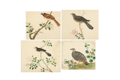 Lot 385 - A SET OF FOUR CHINESE PAINTINGS OF TROPICAL BIRDS