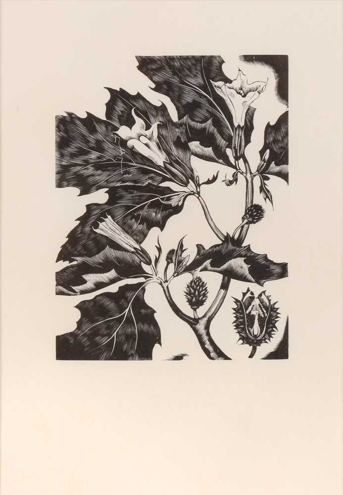 Lot 39 - AFTER JOHN NASH RA (BRITISH 1893-1977)