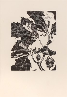 Lot 39 - AFTER JOHN NASH RA (BRITISH 1893-1977)