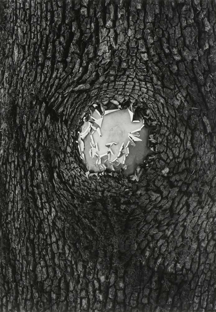Lot 177 - Pirkle Jones (1914-2009)