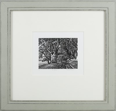 Lot 316 - HOWARD PHIPPS (BRITISH B. 1954)