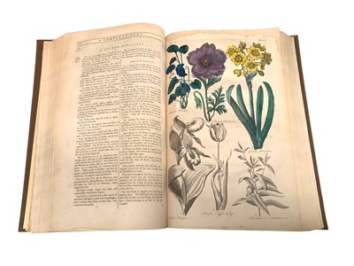 Lot 55 - [Hill, John] Eden: or, a Compleat Body of Gardening, 1757