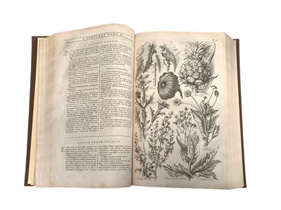 Lot 55 - [Hill, John] Eden: or, a Compleat Body of Gardening, 1757