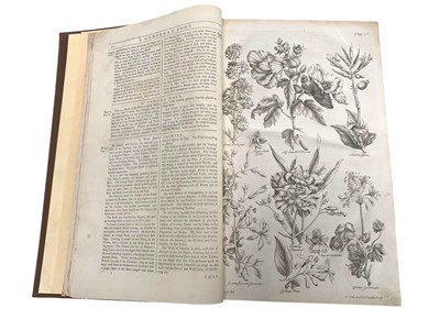 Lot 55 - [Hill, John] Eden: or, a Compleat Body of Gardening, 1757