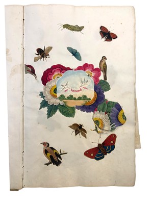 Lot 63 - Natural History: An album of watercolours