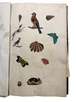 Lot 63 - Natural History: An album of watercolours