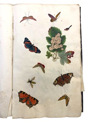 Lot 63 - Natural History: An album of watercolours