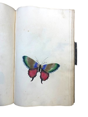 Lot 63 - Natural History: An album of watercolours