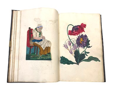 Lot 63 - Natural History: An album of watercolours