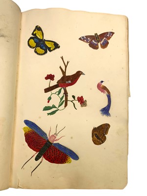 Lot 63 - Natural History: An album of watercolours