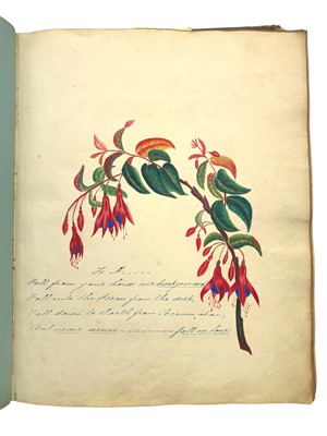 Lot 54 - Irish, Caribbean and military interest: Album