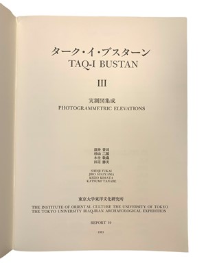 Lot 134 - Taq-I Bustan III: Photogrammetric elevations, 1983
