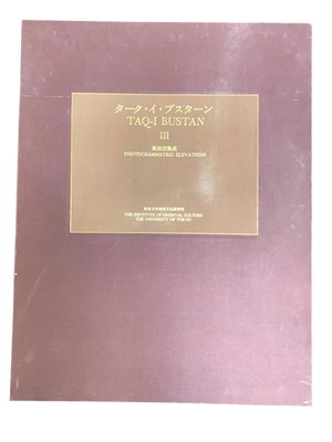 Lot 45 - Taq-I Bustan III: Photogrammetric elevations, 1983