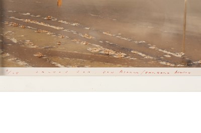 Lot 254 - Richard Misrach (b.1949)