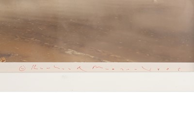 Lot 254 - Richard Misrach (b.1949)