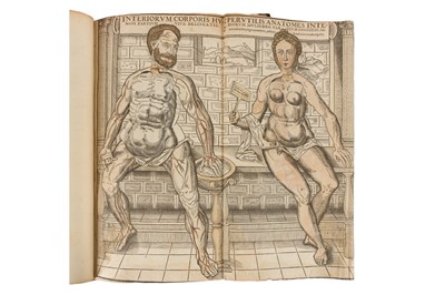 Lot 74 - Vesalius. Anatomia Viri in hoc Genere Princip. 1617