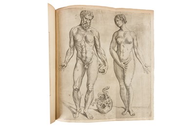 Lot 74 - Vesalius. Anatomia Viri in hoc Genere Princip. 1617
