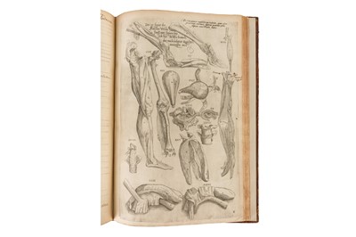 Lot 74 - Vesalius. Anatomia Viri in hoc Genere Princip. 1617