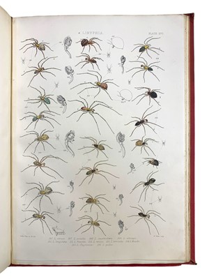 Lot 57 - Blackwall (John) A History of the Spiders of Great Britain and Ireland, First edition