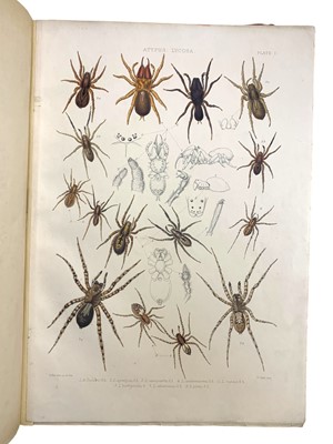 Lot 57 - Blackwall (John) A History of the Spiders of Great Britain and Ireland, First edition