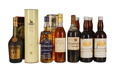 Lot 325 - SPIRITS WHISKY AND BRANDY MIXED LOT 9x75cl