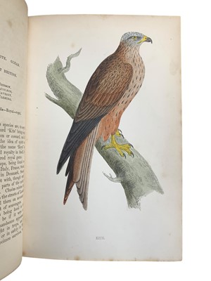 Lot 61 - Morris (F. O.) A History of British Birds