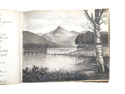 Lot 24 - Album: Suffragette, World War One and miscellaneous interest