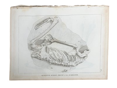 Lot 56 - Agassiz (Louis) Recherches sur les poissons fossiles