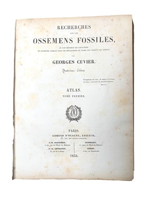 Lot 56 - Agassiz (Louis) Recherches sur les poissons fossiles