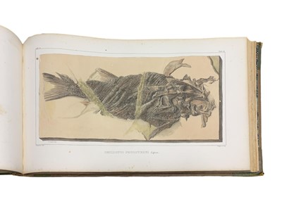 Lot 56 - Agassiz (Louis) Recherches sur les poissons fossiles