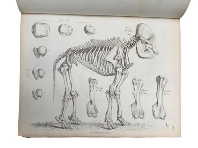 Lot 56 - Agassiz (Louis) Recherches sur les poissons fossiles