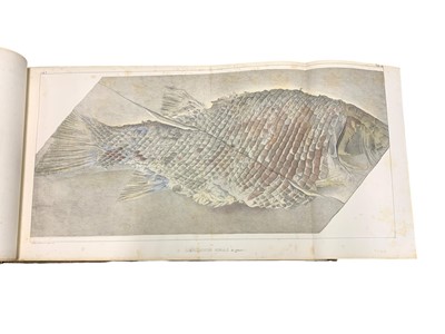 Lot 56 - Agassiz (Louis) Recherches sur les poissons fossiles