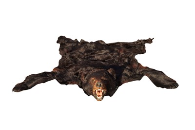 Lot 553 - A NORTH AMERICAN BLACK BEAR SKIN TAXIDERMY RUG (URUS AMERICANUS)