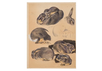 Lot 137 - NORBERTINE BRESSLERN-ROTH (AUSTRIAN 1891-1978)