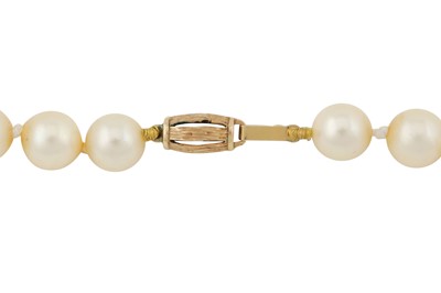 Lot 101 - A SINGLE STRAND PEARL NECKLACE