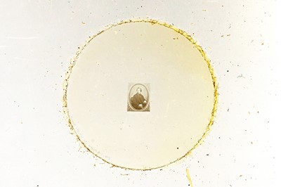 Lot 49 - A Microphotograph by J.B Dancer (1812-1887)