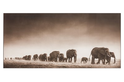 Lot 86 - Nick Brandt (b.1964)