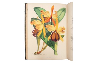 Lot 117 - Warner (Robert) & Williams (Benjamin S.) Select orchidaceous plants. [first and second series]