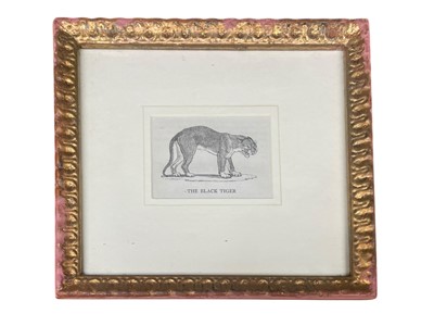 Lot 110 - THOMAS BEWICK (BRITISH, 1753 - 1828)