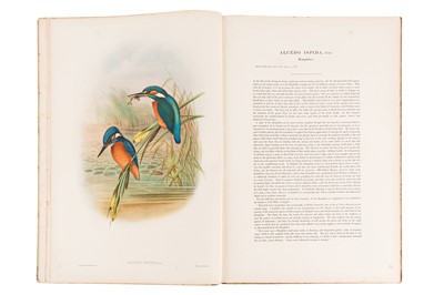 Lot 198 - JOHN GOULD (BRITISH, 1804-1881) BIRDS OF GREAT BRITAIN. 25 ORIGINAL PARTS