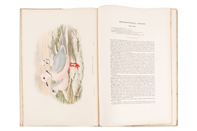 Lot 198 - JOHN GOULD (BRITISH, 1804-1881) BIRDS OF GREAT BRITAIN. 25 ORIGINAL PARTS